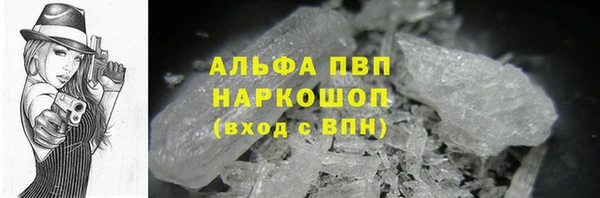 гашик Балахна
