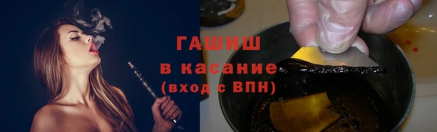 гашик Балахна