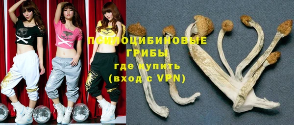 гашик Балахна