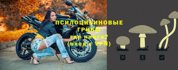 гашик Балахна