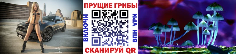 Купить закладки Глазов Псилоцибиновые грибы мухоморы